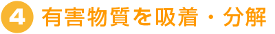 有害部室を吸着・分解