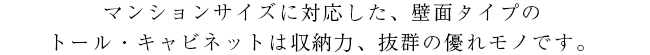 天井にぴったり。耐震対策にも。